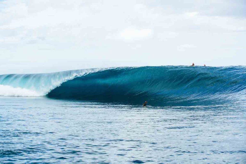 SHISEIDO Tahiti Pro