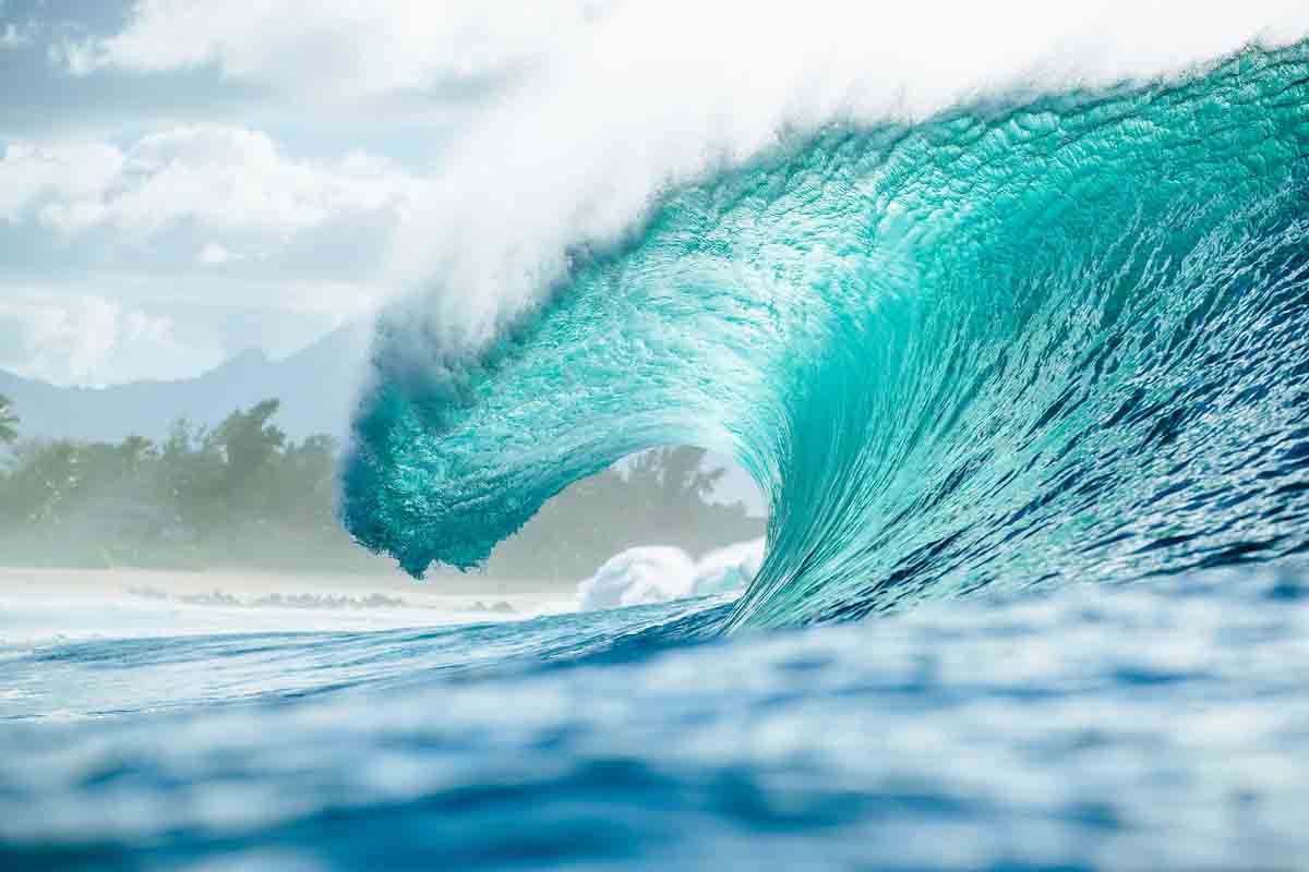 Y si este fuera tu último año viendo el surf como lo conocías