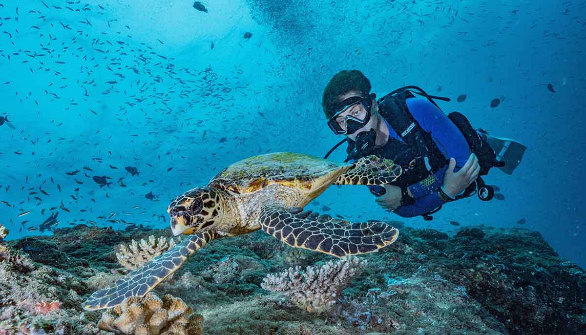 Scuba Finders
